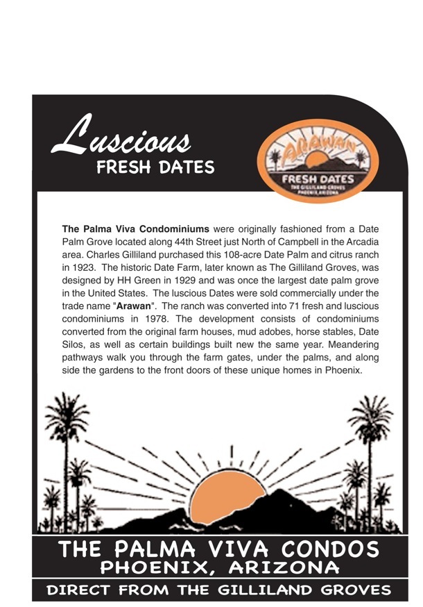 Palma Viva Condominiums For Sale or For Lease 4540 N 44th Street